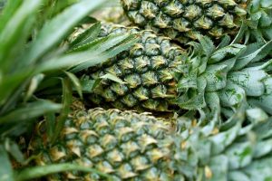 De kunst van het verzorgen van je ananasplant: tips en trucs voor groene vingers